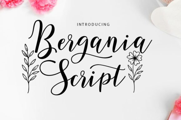 Bergania Script: A Modern Script Font for Scroll-Stopping Brand Visuals