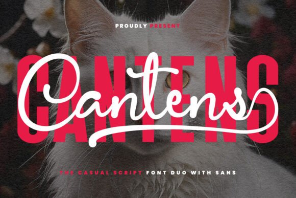 Cantens: Elevating Editorial Design with a Stylish Script Font Duo