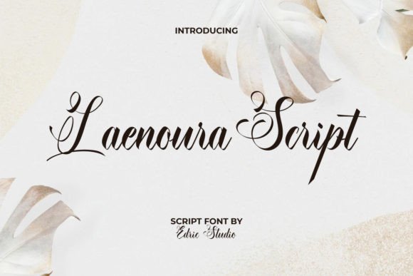 Laenoura Script: The Typeface That Turns Campaigns Into Visual Stories